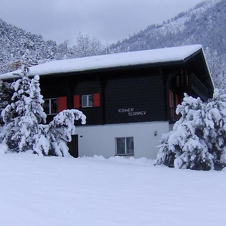 Chalet Esher Surrey Ried-Brig Oda fotoğraf