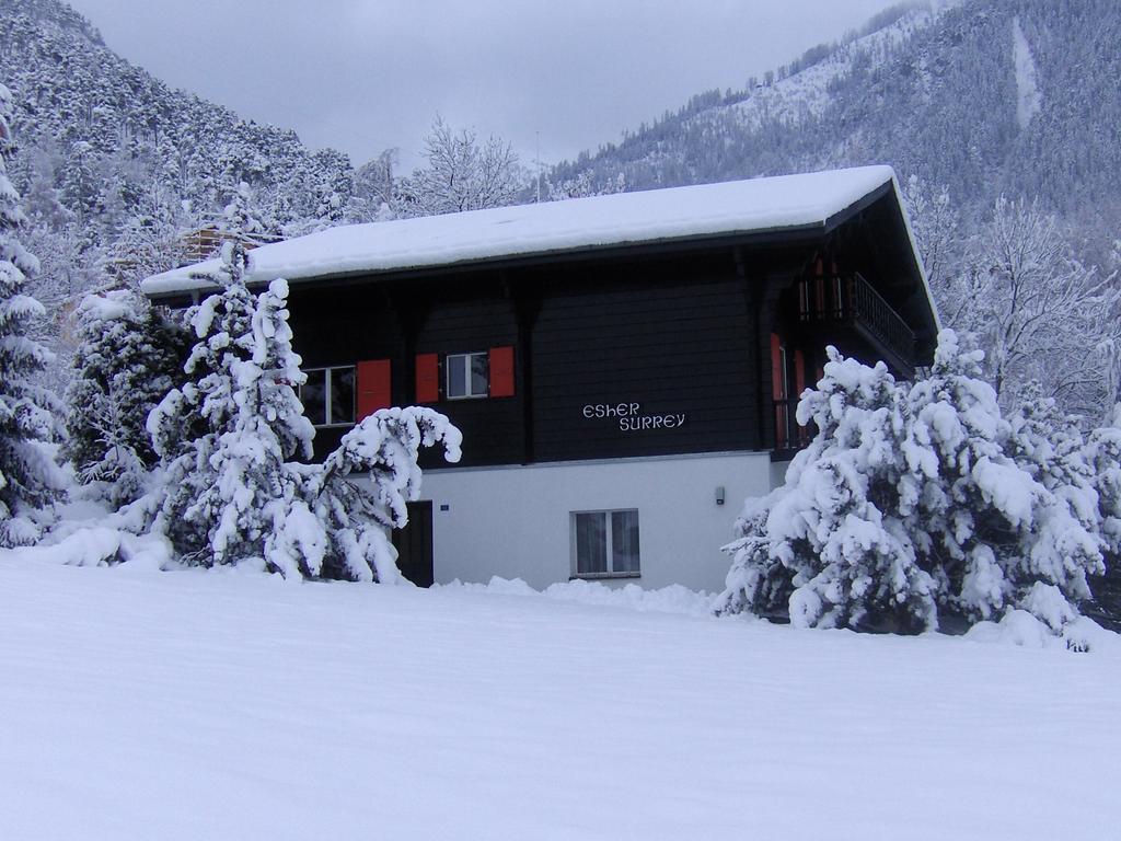 Chalet Esher Surrey Ried-Brig Oda fotoğraf